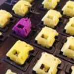 One Amiga 'Chicken Lips' replacement key (set)