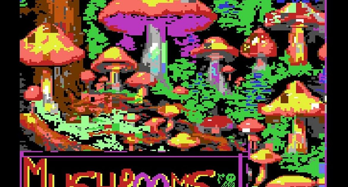 Indie Retro News: Mushrooms That Grow in the Woods